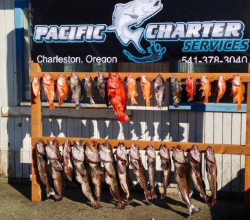 16804340_1359677877388603_3442393838575119553_o-8419bb99b2a1ec2f33ab085d3e8a5749