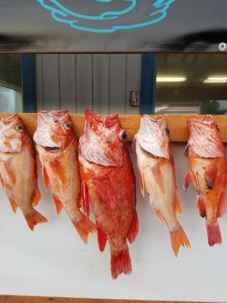 18118777_1423575020998888_1293040224752562355_n-562c8a4d9247903aaf06dd12bc8289b9