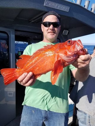 19224920_1482199321803124_8799920478875887813_n-f67fb2806ed4c986b702191a1a02b42e