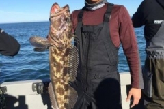 15965908_1321350507888007_32363882107642231_n-0ecbc501b577c4c066c649ebcccb5846