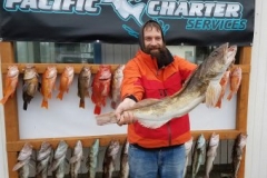 17951727_1703426213287866_4402618406240149615_n-885860f9b0f1f0780e0c626b8abc9304