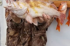 17972044_1703425243287963_3512612177999338178_o-740db2279604889b9a3c372722e85162