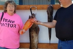 17990759_1423577637665293_7896057605264733133_n-8d649532d00290577654df8ca23f069f