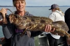 18010073_1423577360998654_1889158252351885970_n-4cb1958f95df4d501744da96e950c201