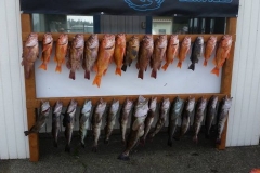 18033239_1703786956585125_3406171385510963336_n-8cd424f43f45bd2f2f815ee039fdfda6