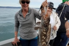 18057972_1423577780998612_7624898834578987789_n-59e0ba3d2ff27c99d7c84006385534c5