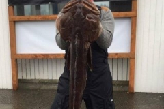 18157010_1707960762834411_8451379745941852915_n-c3f60372f7cc7ffb701128beaf827451