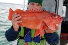 18157690_1432723356750721_435746019413496679_n-52786ea2b35ecaa03d20642b3d894955