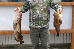 18198592_1432722173417506_1223910626956466816_n-bbcd53c551cccf8d3ca10e45ef1a4120