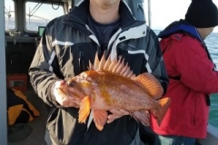 18199266_1432723533417370_7844493058454694568_n-eb4baf77c934f755777a575a70e258f1