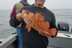 18268414_1436116743078049_7447834337070446578_n-f8625fa514ab6c3b4a62cee85384f904