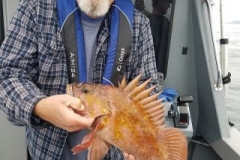 18268664_1436117416411315_6744481629735389585_n-1eb954693e53050b4c0bb34fe11a43a0