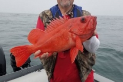 18274959_1436116609744729_3730629234464342286_n-1828fe0bdeb181b6d57c5e7de022c22c