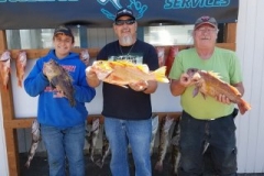 18342760_1444289045594152_510647783996487467_n-daa934ce915af2e6e4047d4b1e9a3726