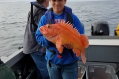 18425197_1444289368927453_2691389753152280169_n-063b246ea2b6a738a11346d367cd8553