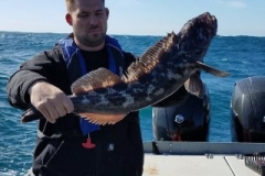 18485698_1451565541533169_7164499238689468253_n_1-300ab74b81289bc83438079fca035edd