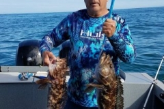 18485796_1451615014861555_2140626512387289949_n-34ef8ea4d70fdb0ae817189f01e4ef8f