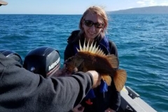 18519590_1452530998103290_3632144412230471055_n-4f6466328e43607091a05b25a793a3bd