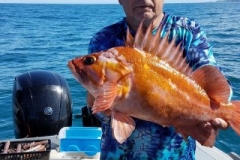 18519627_1451614788194911_7534186028906953255_n-2107cd74e96ad736708a1f6fee5e72dd