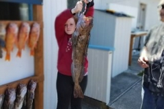 18527715_1452529344770122_1417019038598992767_n-889a747007364d8712fb923997c0063a