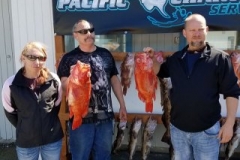 18556431_1452529994770057_175377627700379461_n-4f10ff26855530108e2a75ad26791255