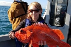 18557279_1452531438103246_5870107219444165544_n-f9f4385dd865adb7ebfb75b7e95580ae