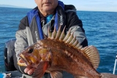 18557344_1451614871528236_5709102757833314246_n-55f7519fc12f7b720591c44168edc7d8