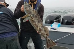 18619947_1454494107906979_3592892027495426924_n-5b024a93b0ae244fedce56d1d32a0cd0