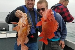 18664728_1459822237374166_5206706948785713152_n-2b635245b96217735897cff94bf74480