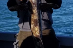 big_daddy_ling-7d5926839200b45ff5d25ece377d4a3f