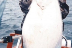 curt_holding_halibut-644ec0d95a06ab4cd7c527a83ce62d70