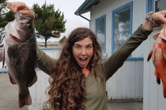 pcs_rockfishbig-367b2652b6545f690d1a9bee10f72db1