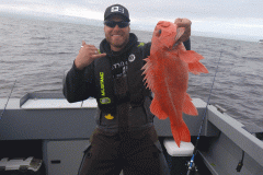 pcs_rockfishmega-ba9c1e7adec6e198e430ea99337a5b50