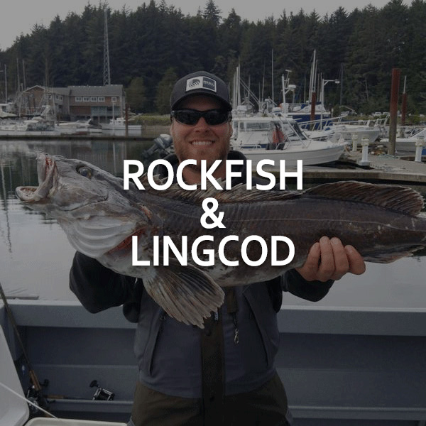 Rockfish & Lingcod Fishing Charter Trips