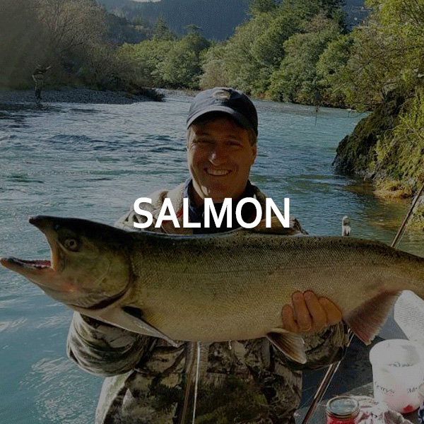 Salmon Charter Trips