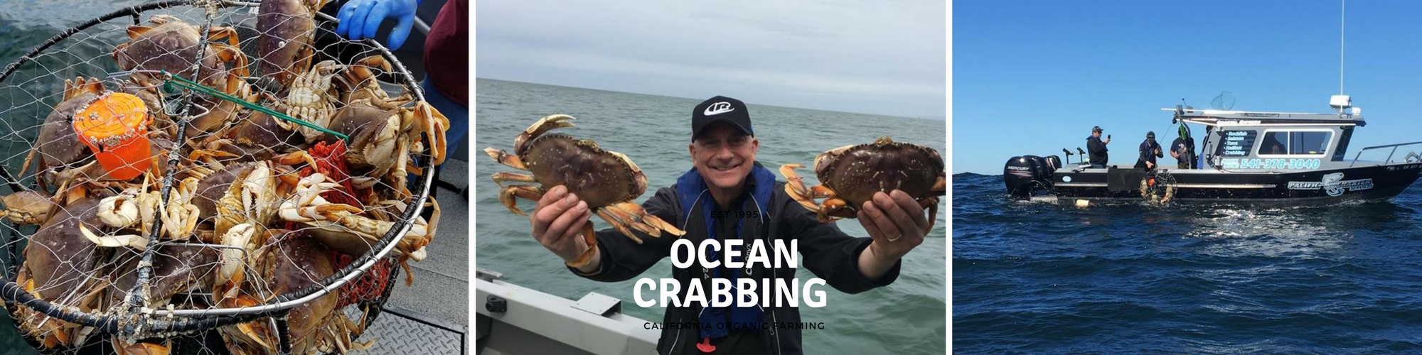 Pacific Ocean Crabbing