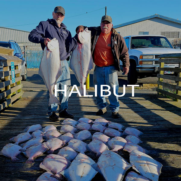 Halibut Fishing Charter Trips