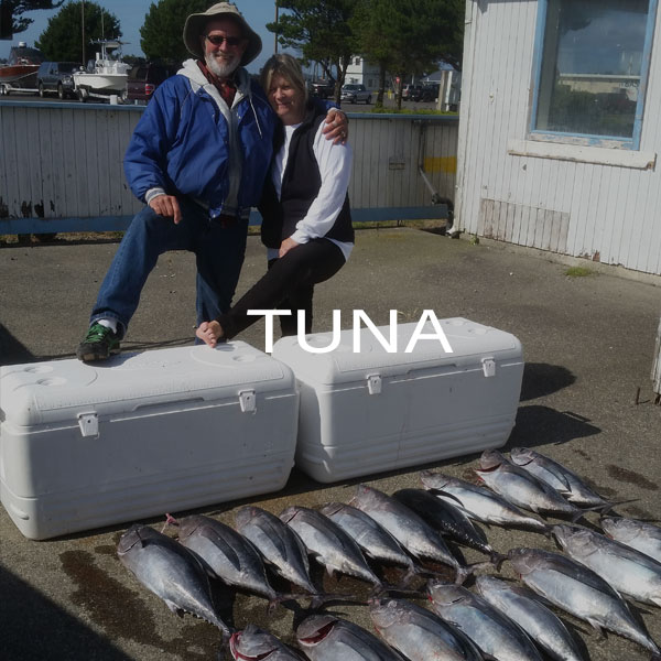 Tuna Charter Trips